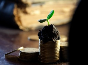 Plant Growing From Money